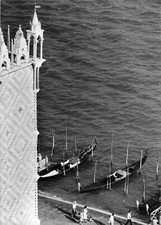 JOLIE PHOTO ANCIENNE NOIR ET