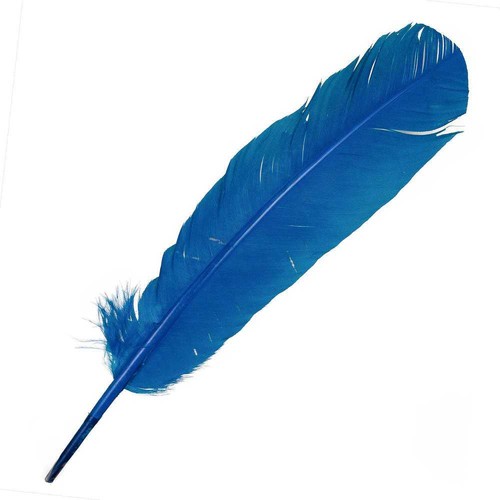 Plumes palette dinde 25 - plumes,