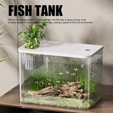 Petit Aquarium De Bureau En