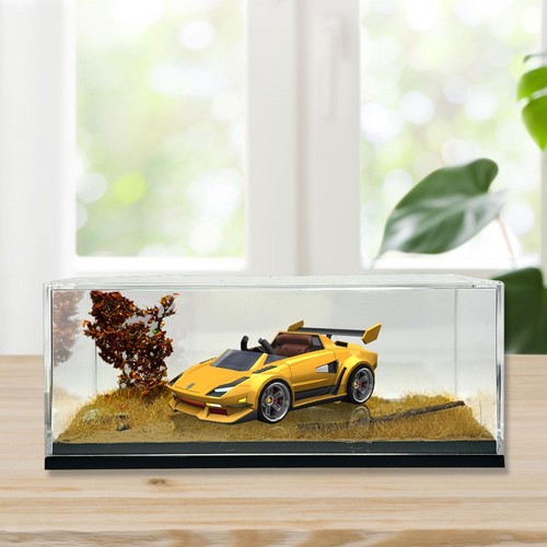 Vitrine pour voiture miniature