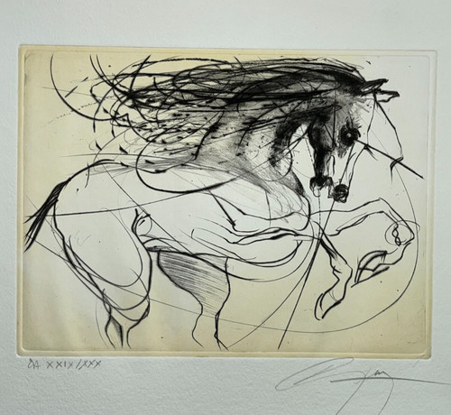 Etalon jean marie guiny - etalon, cheval