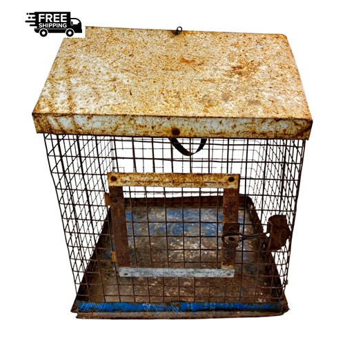 Cage oiseaux fer forgé - cage, À