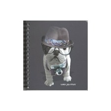 Téo Jasmin - Carnet à