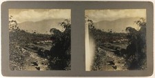 Asie Indochine Forêt tropicale c1915 Photo Stereo Vintage PL11h8