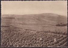 Champagne POMMERY-GRENO Premier Cru de Raisins Blancs Vignoble CPA sépia animée