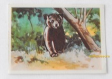 Image CHROMO Chocolat