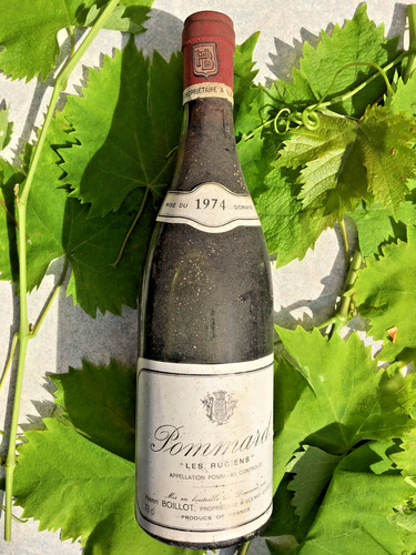 Pommard rouge les rugiens - pommard,