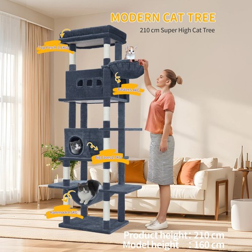Arbre chat grande - arbre, à