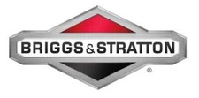 Série Segments ORIGINALE BRIGGS & STRATTON 499921