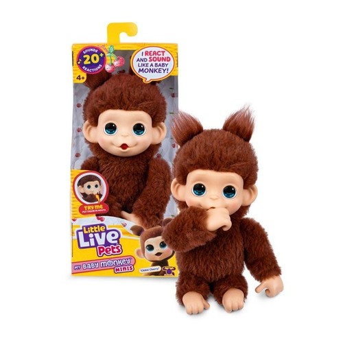 Peluche little live - peluche, pets