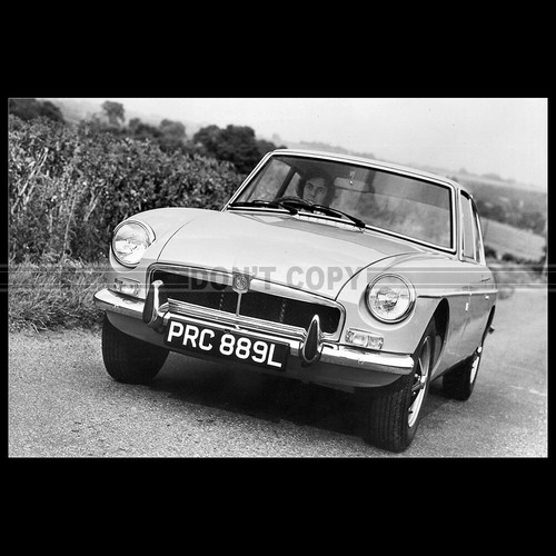 Photo 015936 gt - mg,
