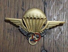 Brevet moniteur parachutiste