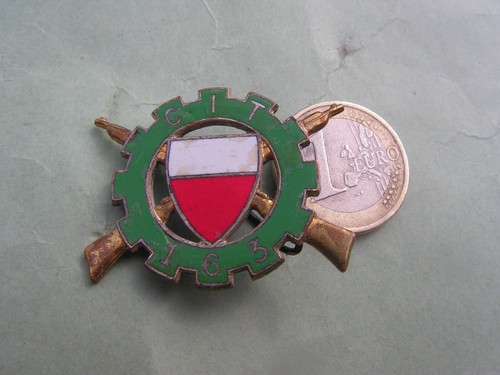 Insigne 163 eme centre - insigne,