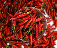 PILI-PILI PIMENT - POIVRE