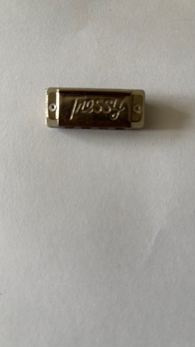 Harmonica tenue salut - harmonica,