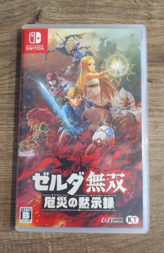 Hyrule warriors age - age, of