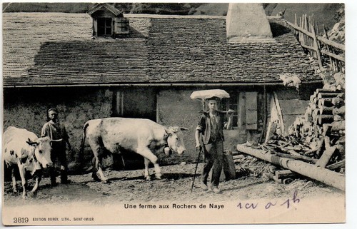 Suisse switzerland chalets - -,