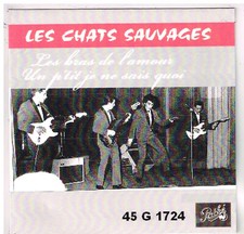 Les CHATS SAUVAGES   Dans les