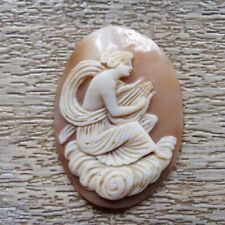 BEAU GRAND CAMEE COQUILLAGE