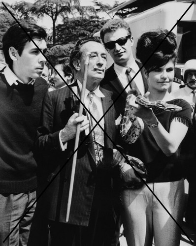 Photo salvador dali paco - salvador,