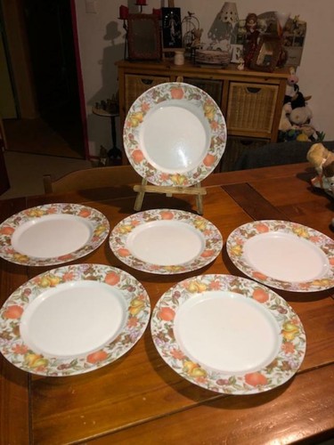Grandes assiettes plates - grandes,