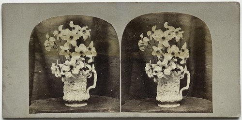 Nature morte vase avec - morte, fleurs
