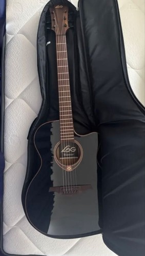 Guitare acoustique électrique