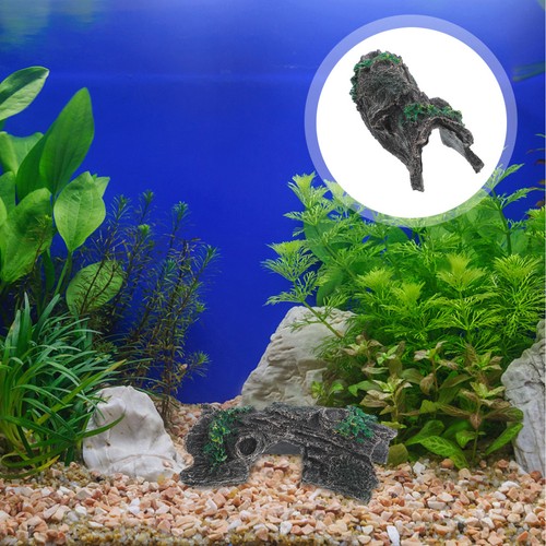 Tortue decoration peau - tortue,