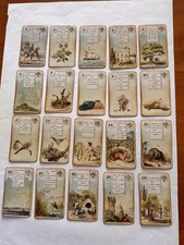 Jeu divinatoire de 36 cartes