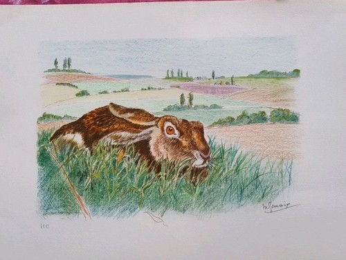 Genevoix maurice lithographie - maurice-,