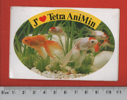 Tetra animin - ❤,