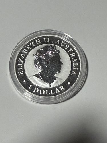 2019 australia koala pig - australia,