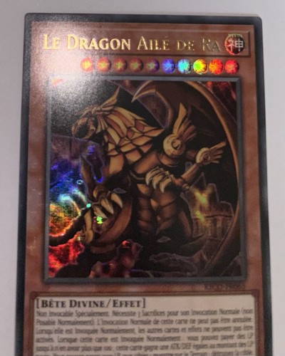 Le dragon ailé de - dragon,