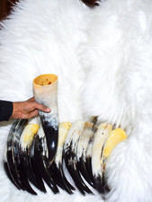 10 pièces verres à bière