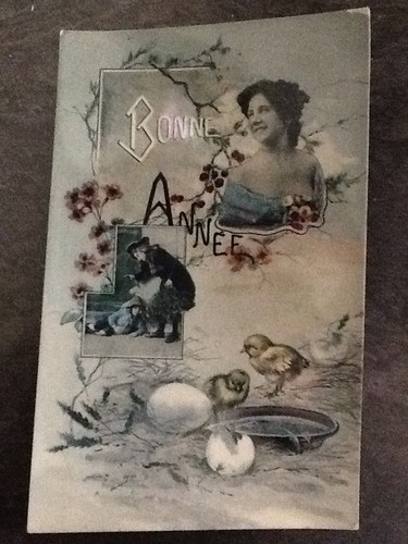 Glacee bonne annee femme - glacee,