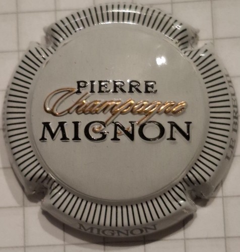 Capsule champagne pierre - capsule,