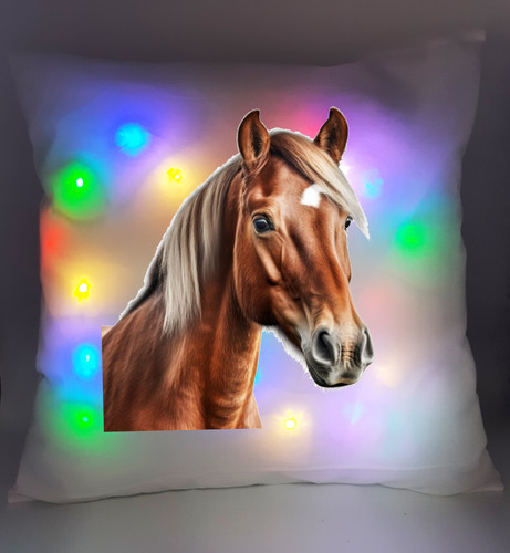 Coussin lumineux - coussin,