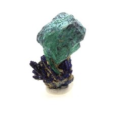 Pierres et Minéraux. Cuprite + Chessylite ( Azurite ). 31.8 ct. Chessy-les-Mine