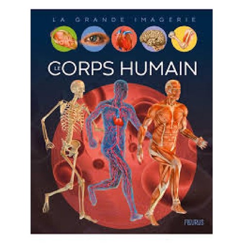 Livre corps humain - le,
