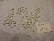 lot de 100 perles anciennes en