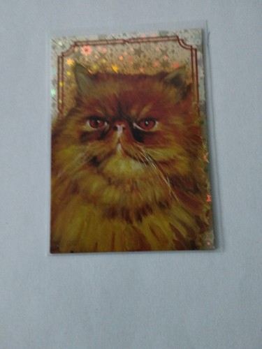 Carte collection harry potter - harry,