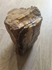 Bois Pétrifié Fossilisé Minéraux