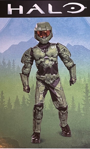 Disguise halo infinite - halo, master