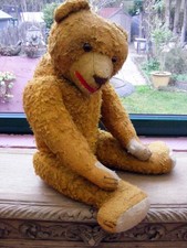 Ancien ours Baron né en