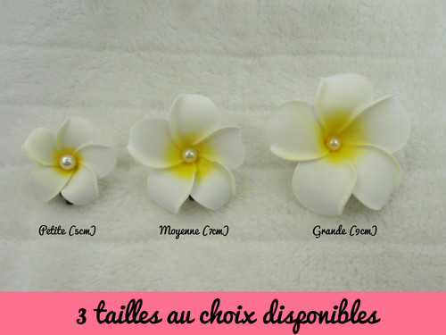 Pince clip barette - , cheveux