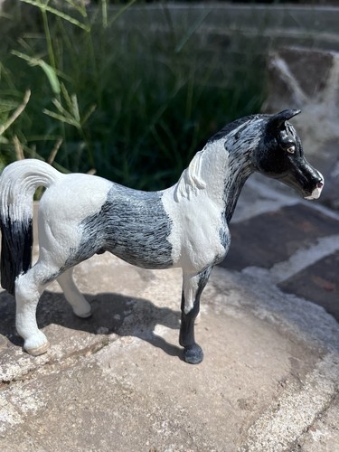 Custom arabian stallion not - custom,