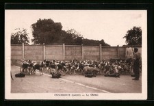 CPA Combreux, Le Chenil 