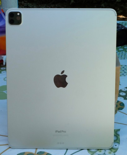 Apple ipad pro pouces 6 - ipad, 6°