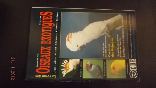 Revue oiseaux exotiques - revue,