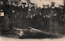 CARTE POSTALE - FORET-DE-COUSSY-BASSE - AISNE - 02 - CHASSE A COURRE - DEPECAGE